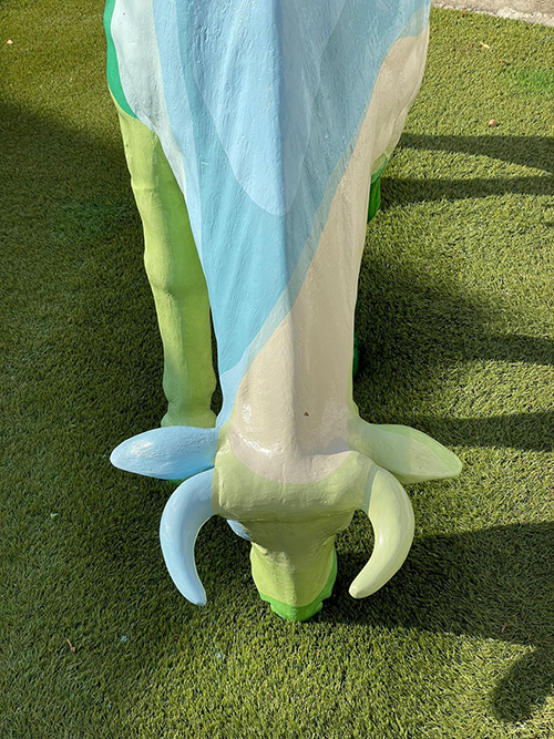 A cow